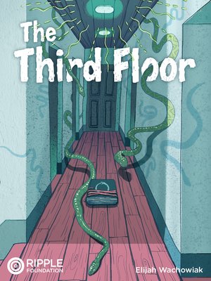 cover image of The Third Floor